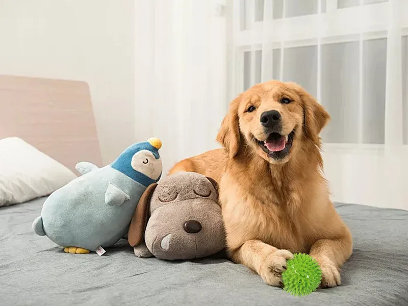 Come mantenere felice il tuo animale domestico？