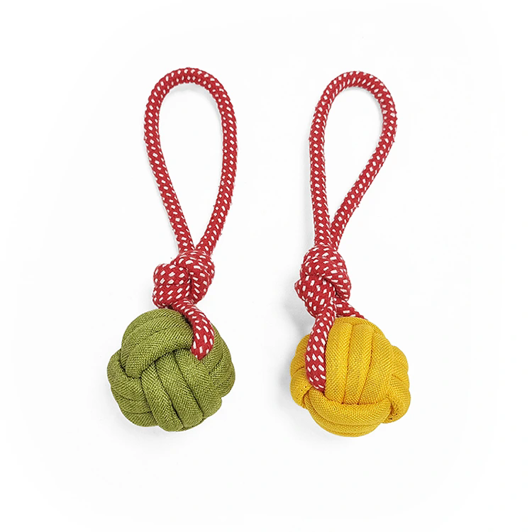 Cosa rende i giocattoli in corda di cotone il futuro del gioco sicuro e sostenibile per gli animali domestici?